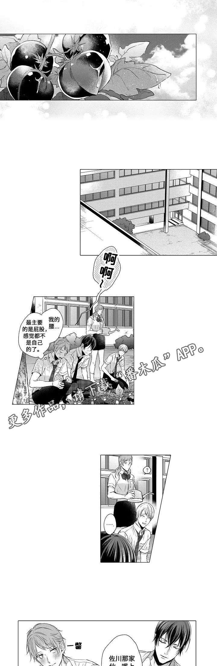 第17章：恋人的菜园（番外篇）