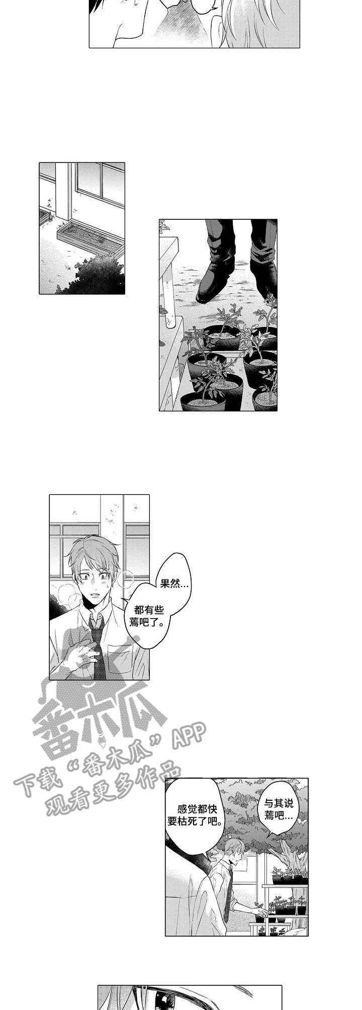 第2章：菜园