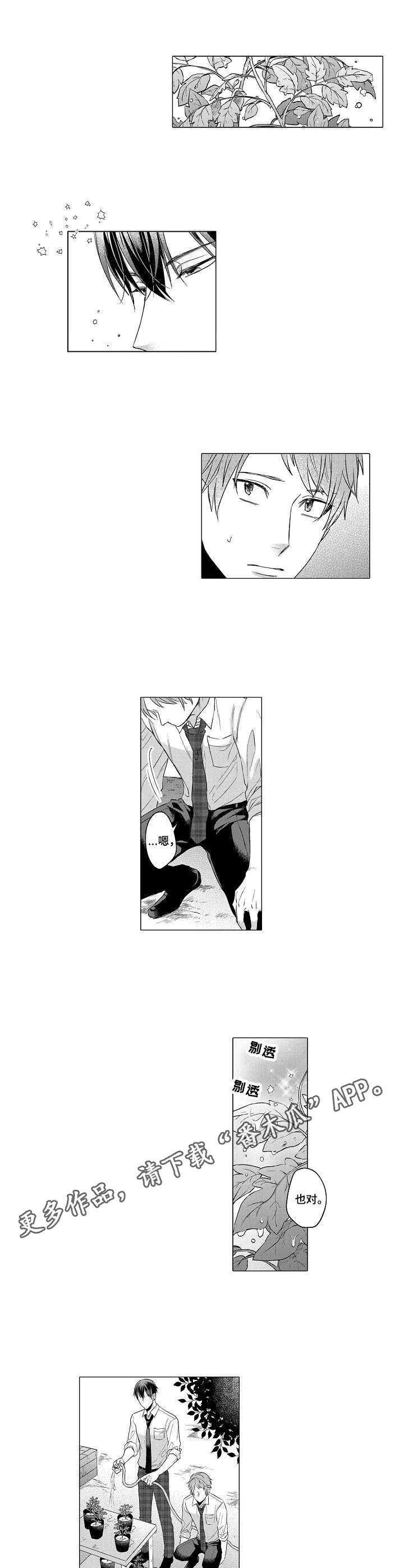 第2章：菜园