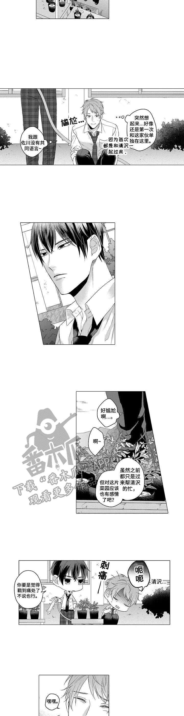 第2章：菜园