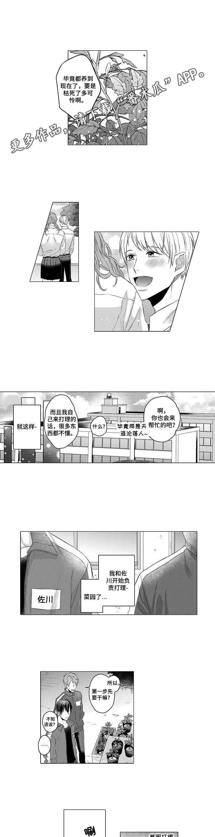 第2章：菜园