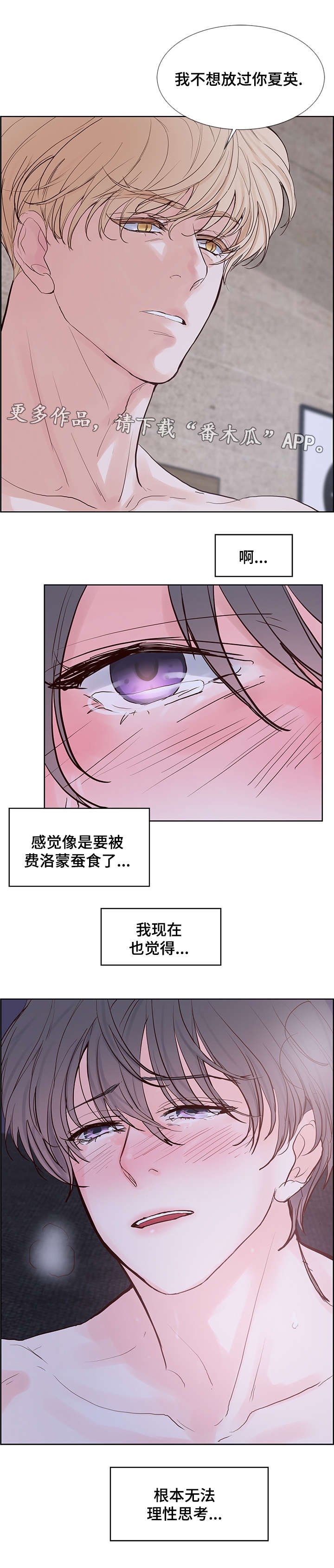 第51章：做记号！