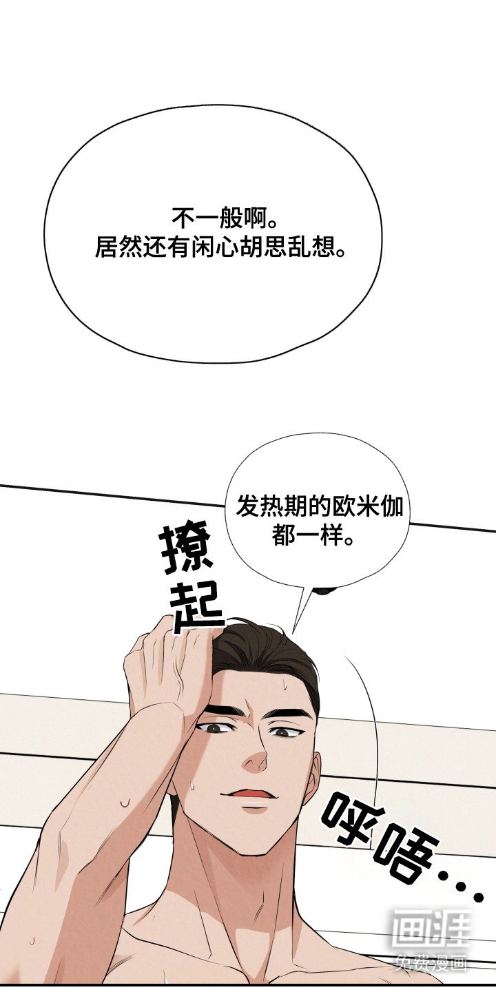 第3章：窥屏
