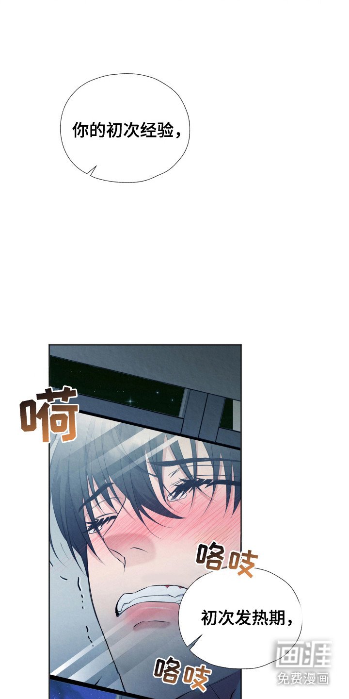 第3章：窥屏