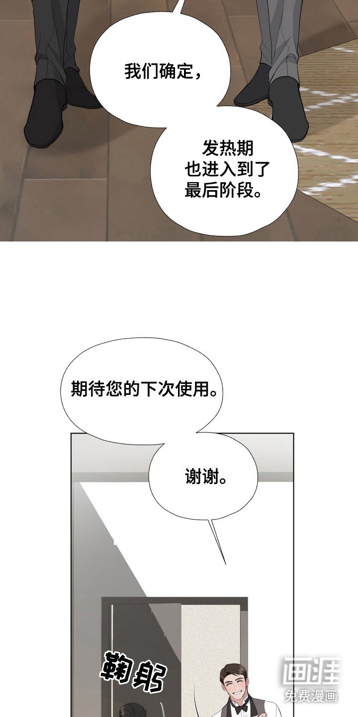 第5章：惊喜（完结）