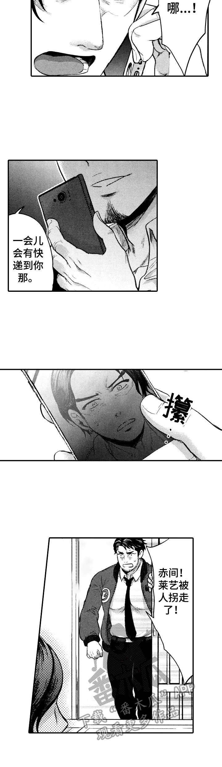 第13章：绑匪