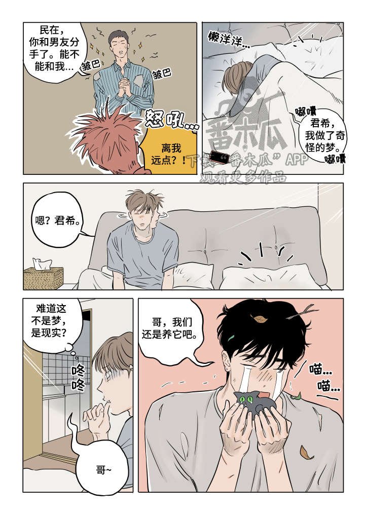 第19章：保持可爱（完结）