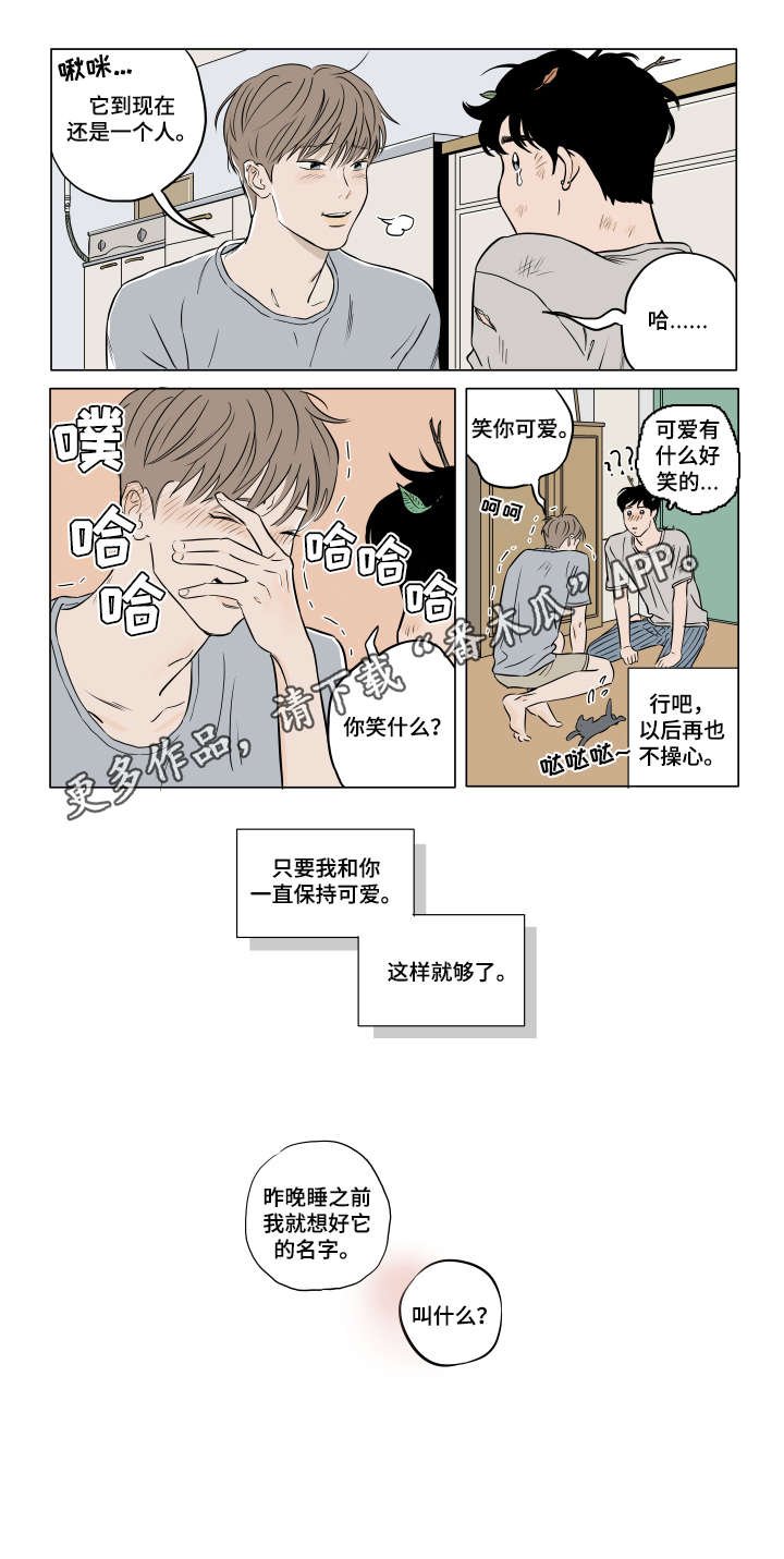 第19章：保持可爱（完结）