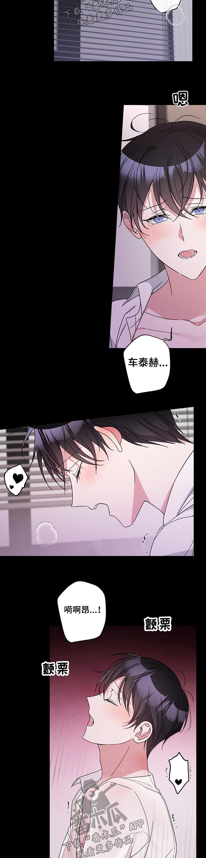 第41章：回忆昨晚
