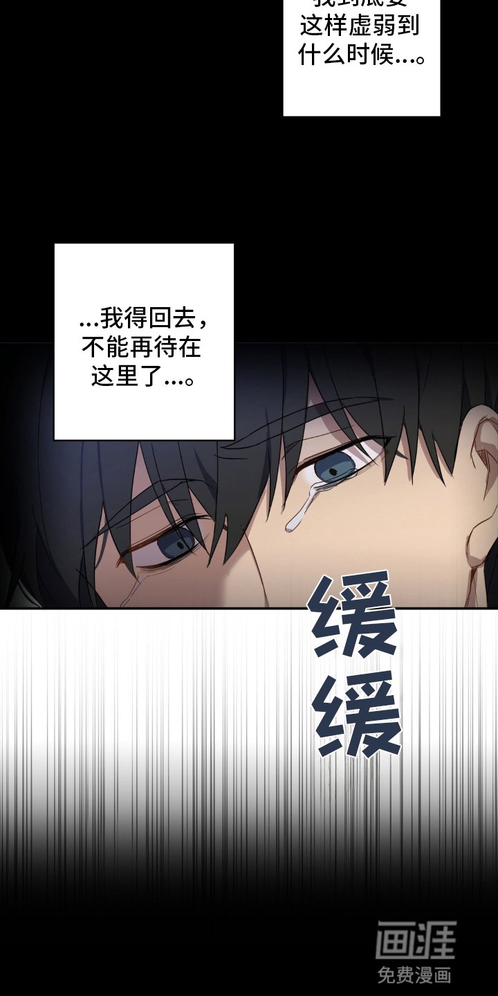 第13章：发病
