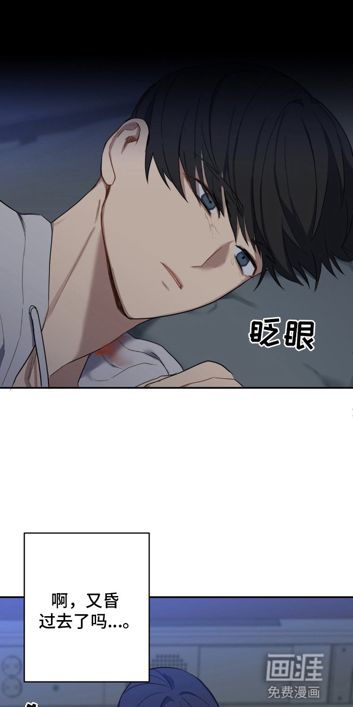 第13章：发病