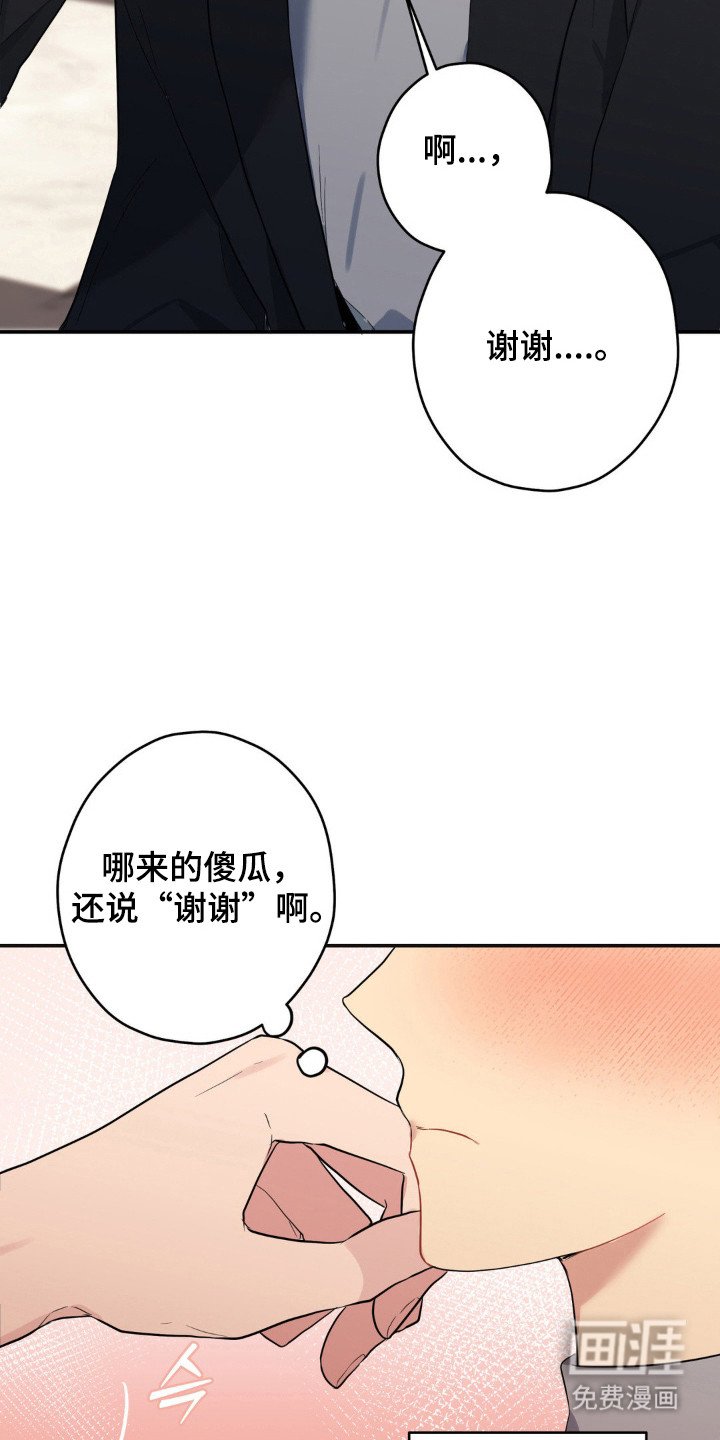 第15章：很可爱
