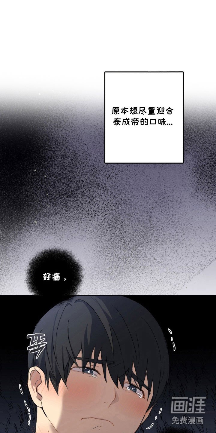 第23章：绝对不行
