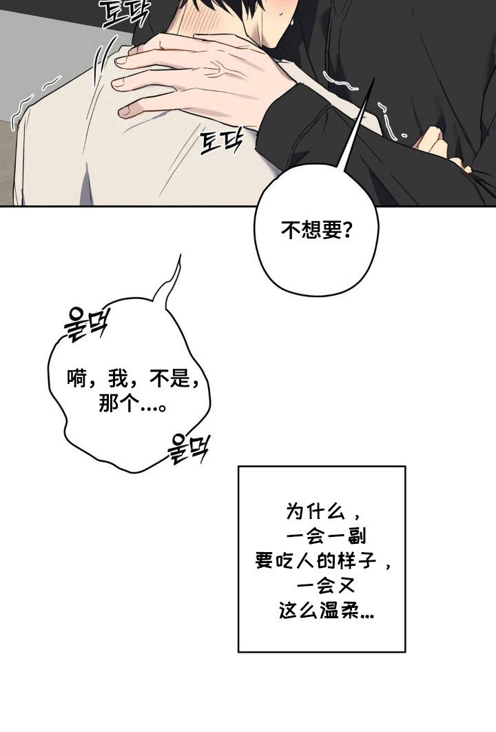 第23章：绝对不行
