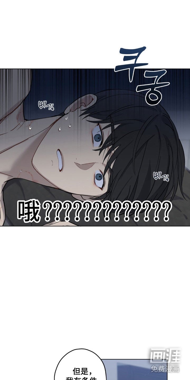 第26章：恋人开始