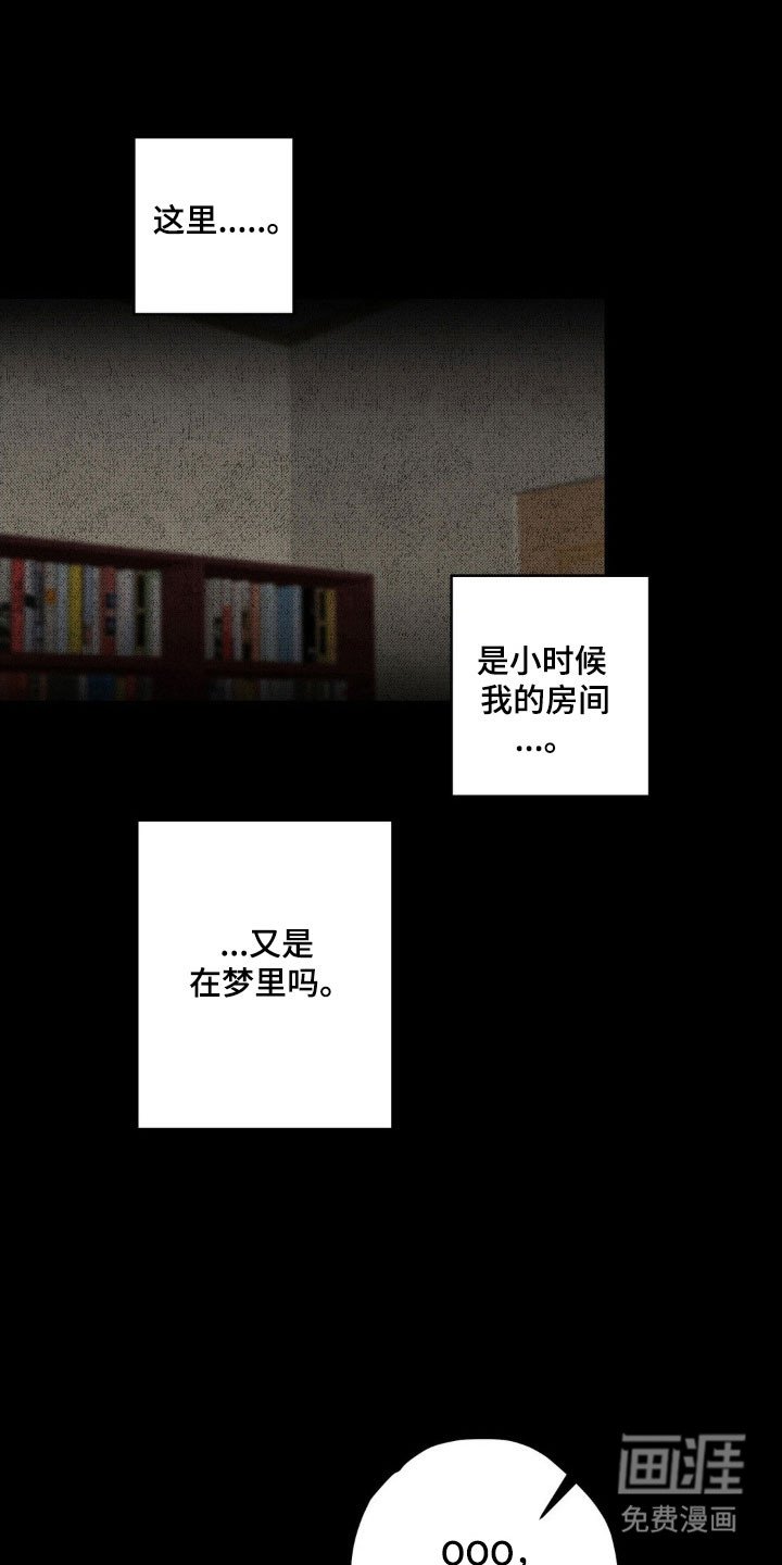 第33章：我的记忆