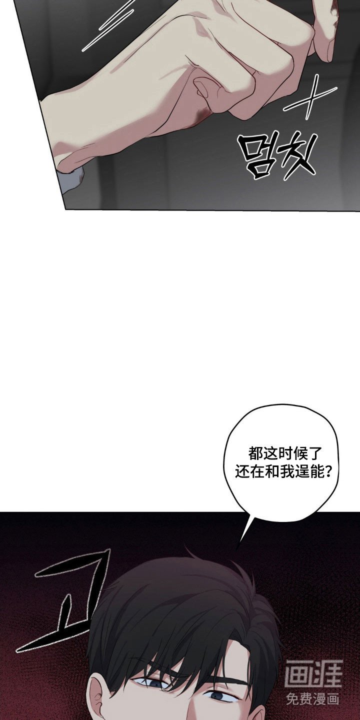 第37章：充满戒心