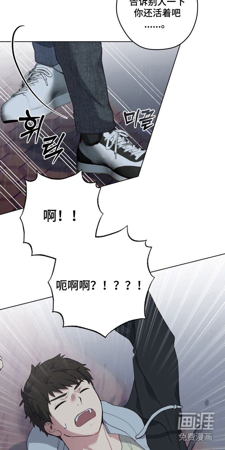 第39章：提出疑问