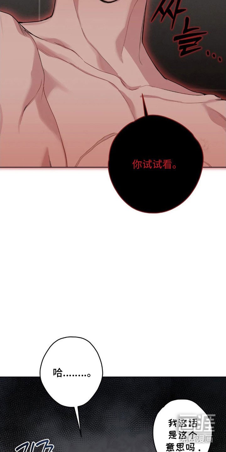 第42章：你试试看