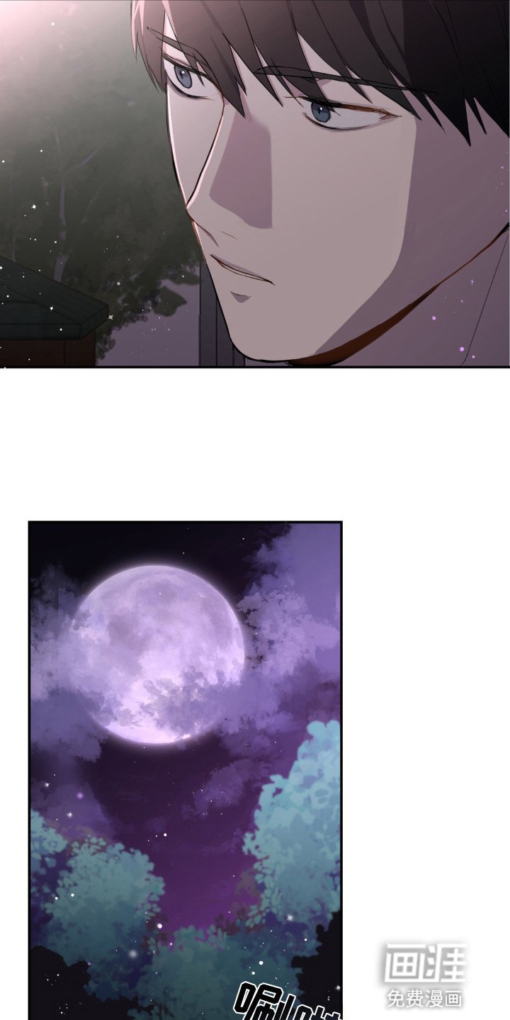第7章：清澈愚蠢