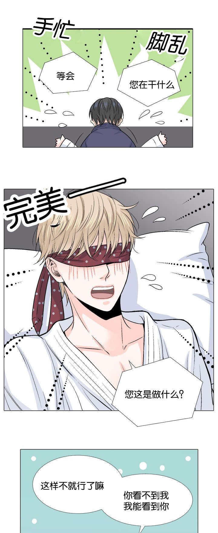 第10章：错觉