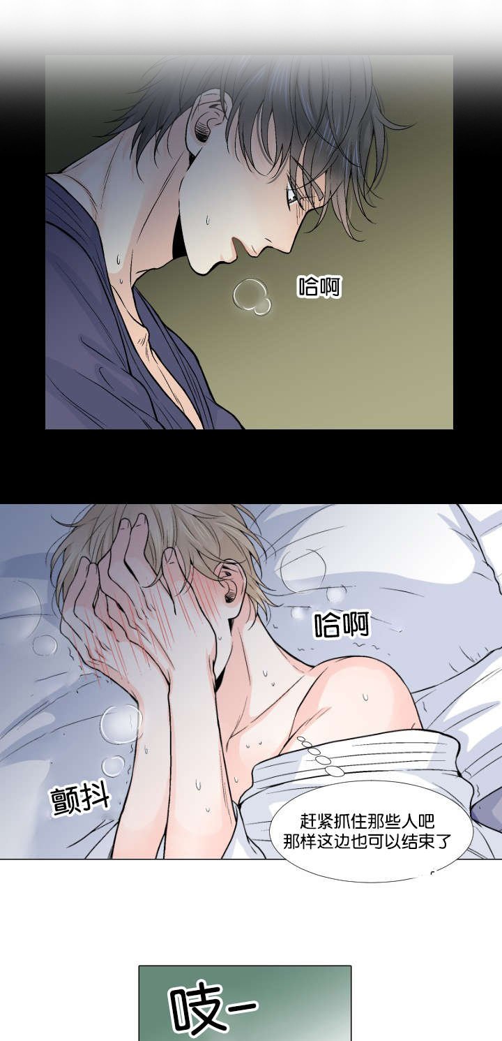 第12章：这种方案