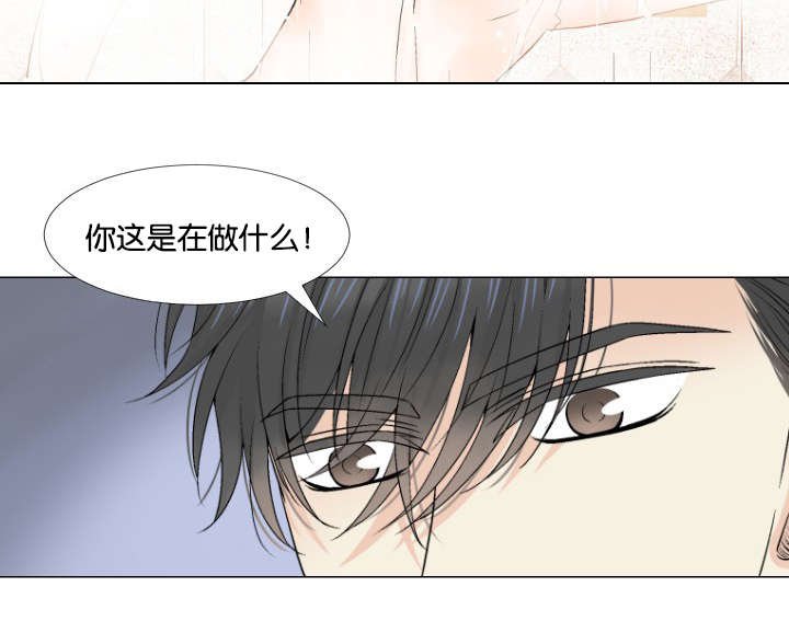 第16章：发现