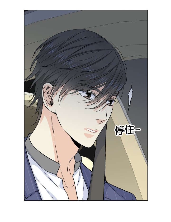 第23章：替代品