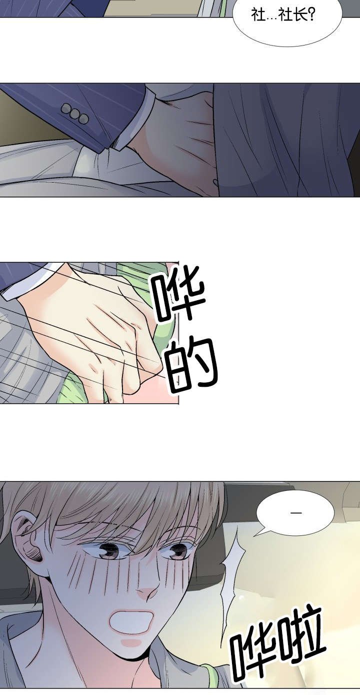第23章：替代品