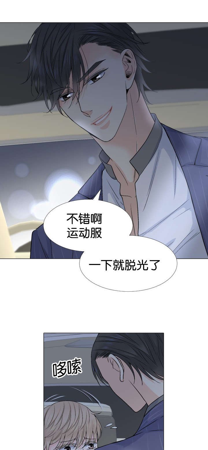 第23章：替代品