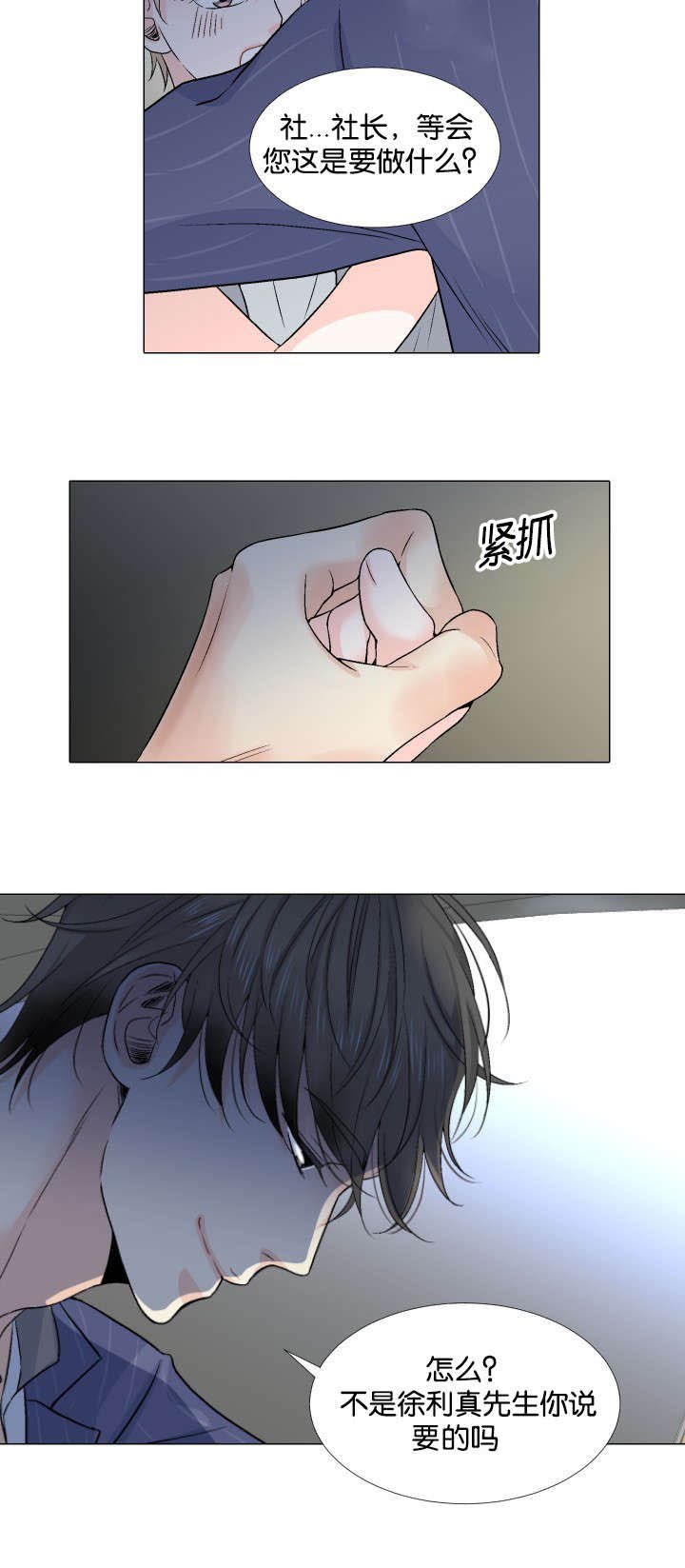 第23章：替代品