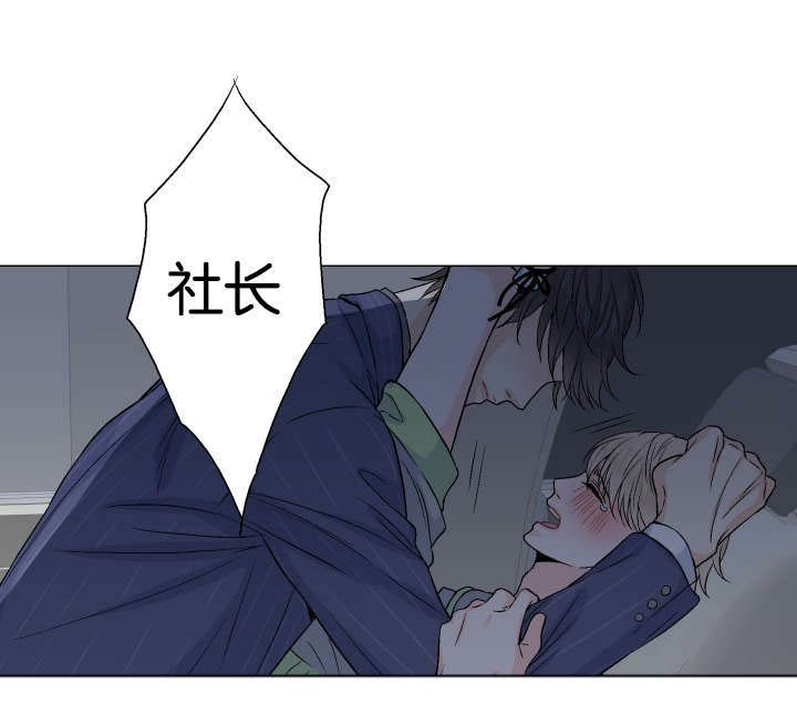 第23章：替代品