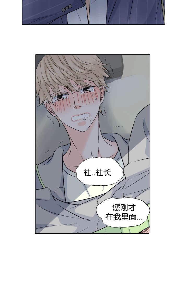 第23章：替代品