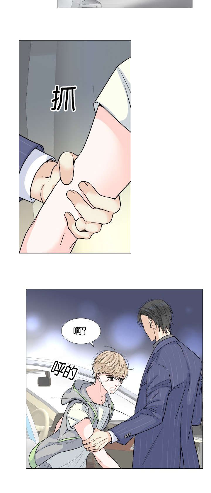 第23章：替代品