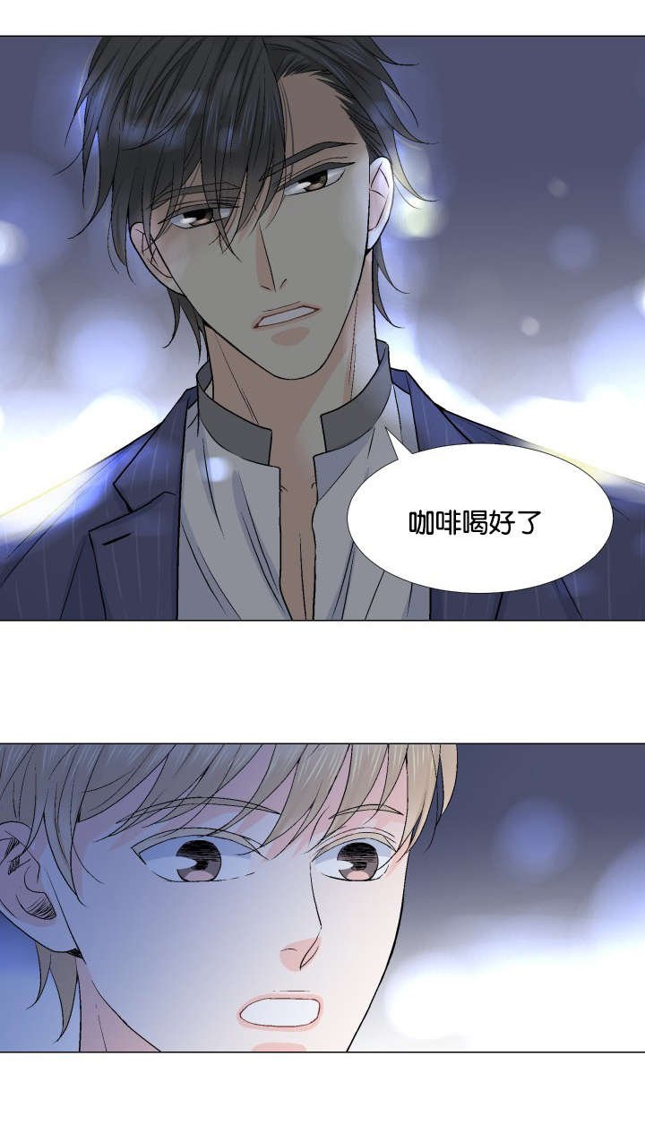 第23章：替代品