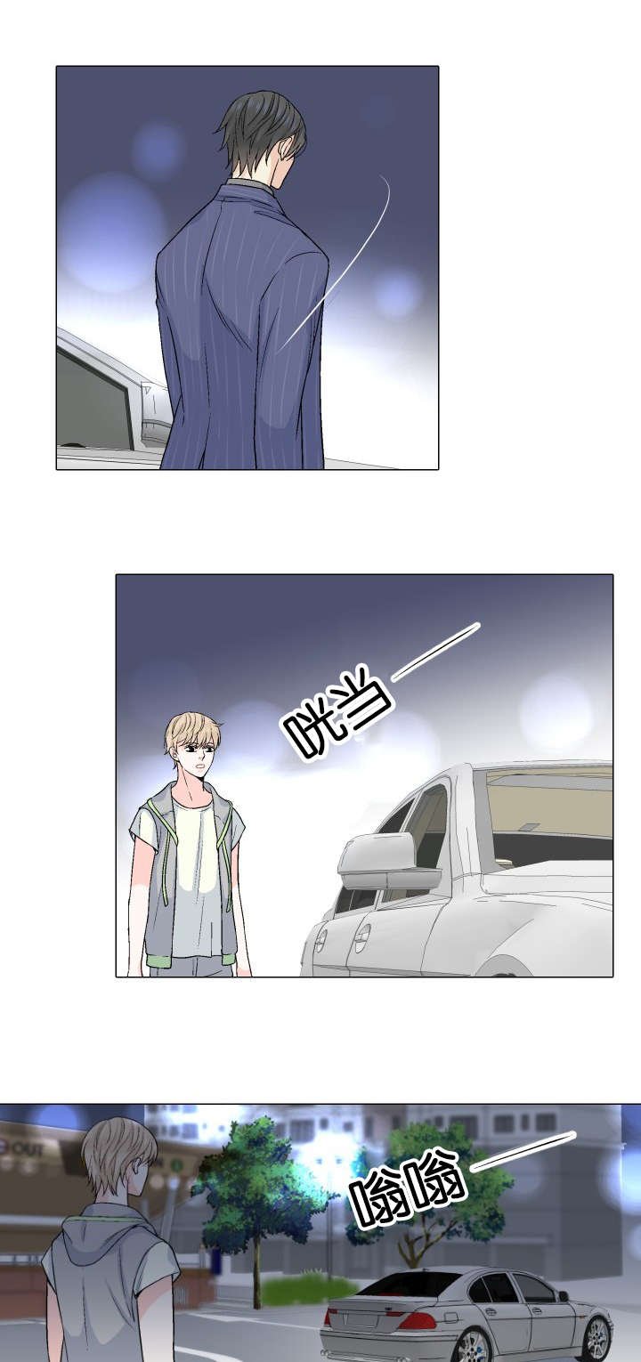 第23章：替代品