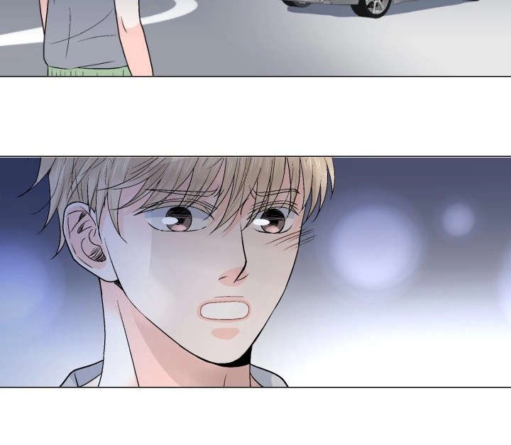 第23章：替代品
