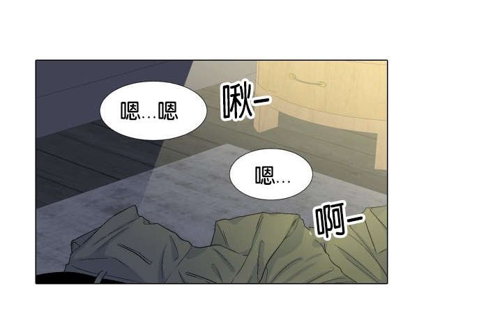 第31章：趣味性提议