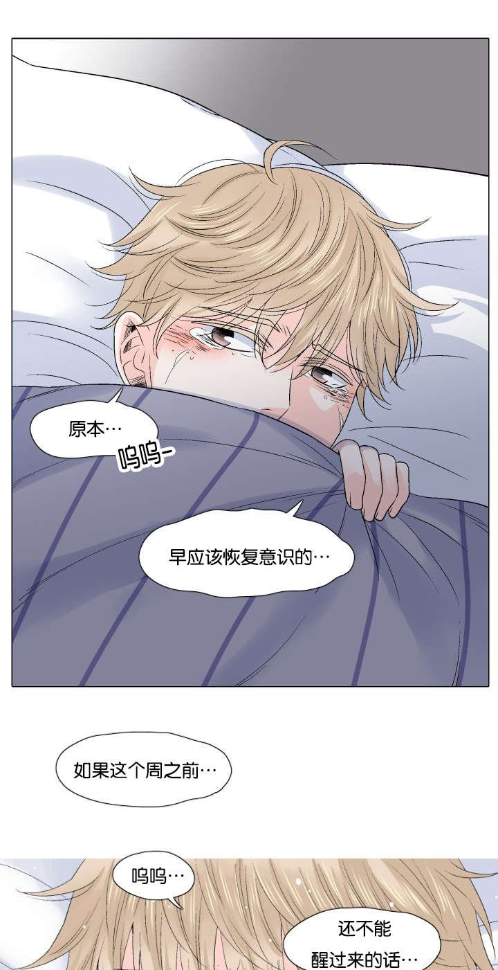 第50章：不是你的错