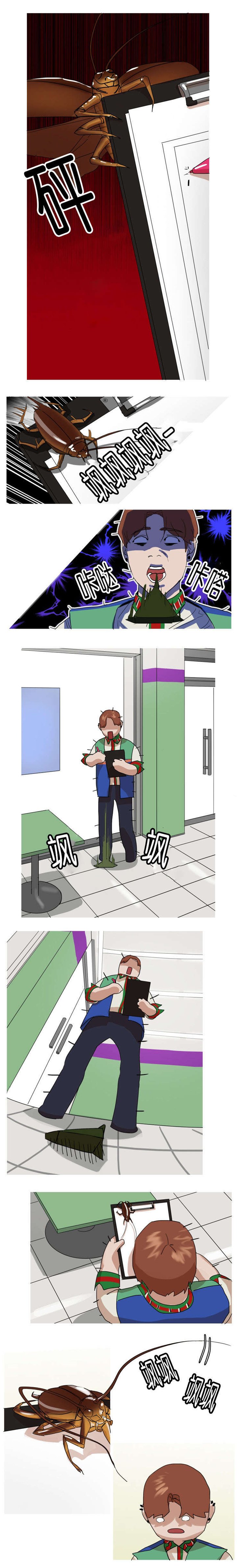 第4章：蟑螂