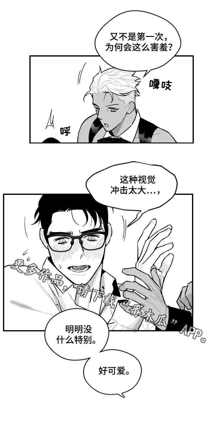 第117章：视觉冲击