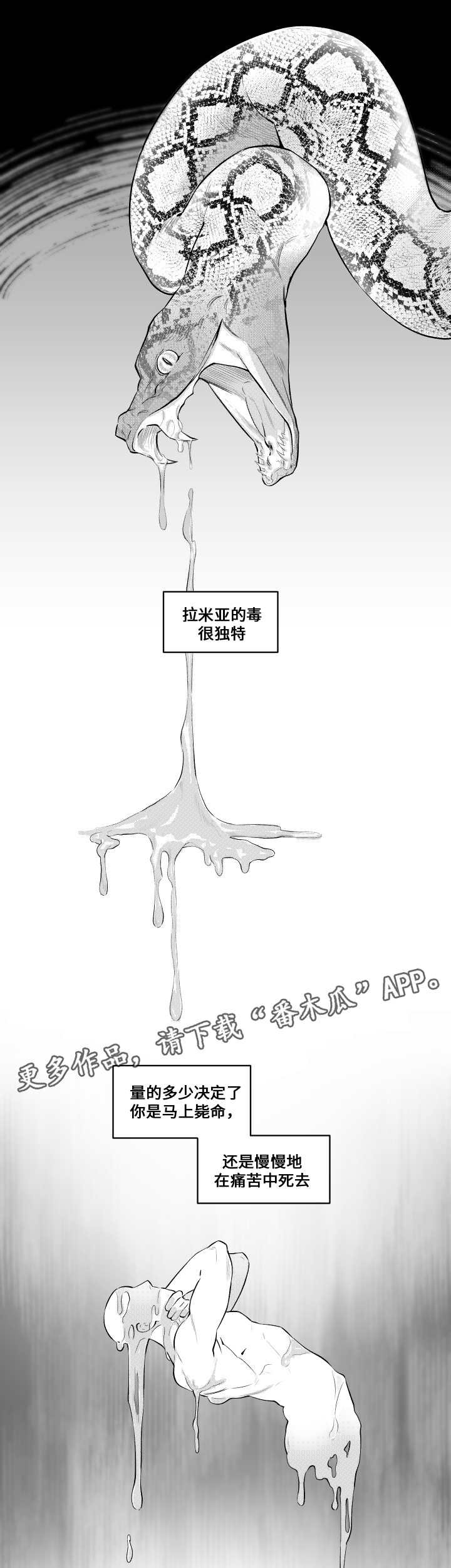 第12章：好久不见
