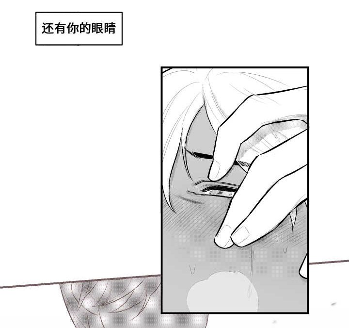 第16章：看望