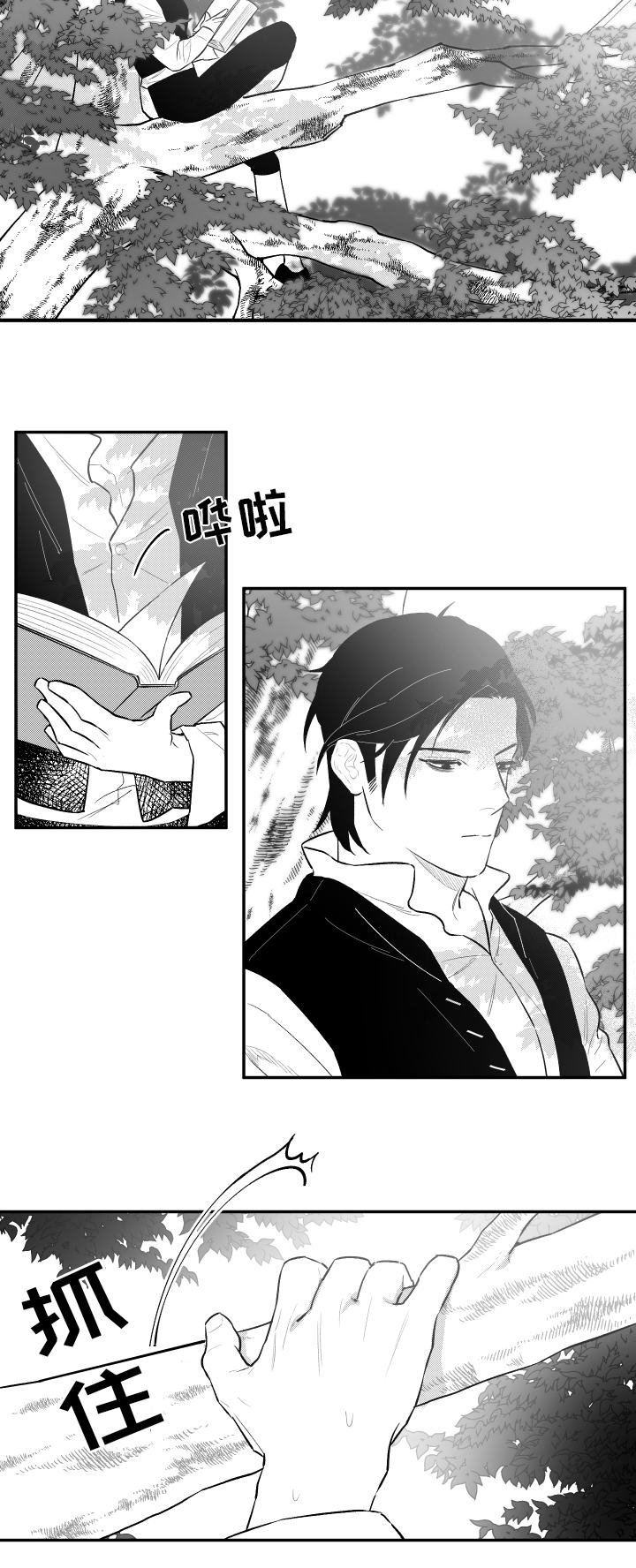 第24章：不要走