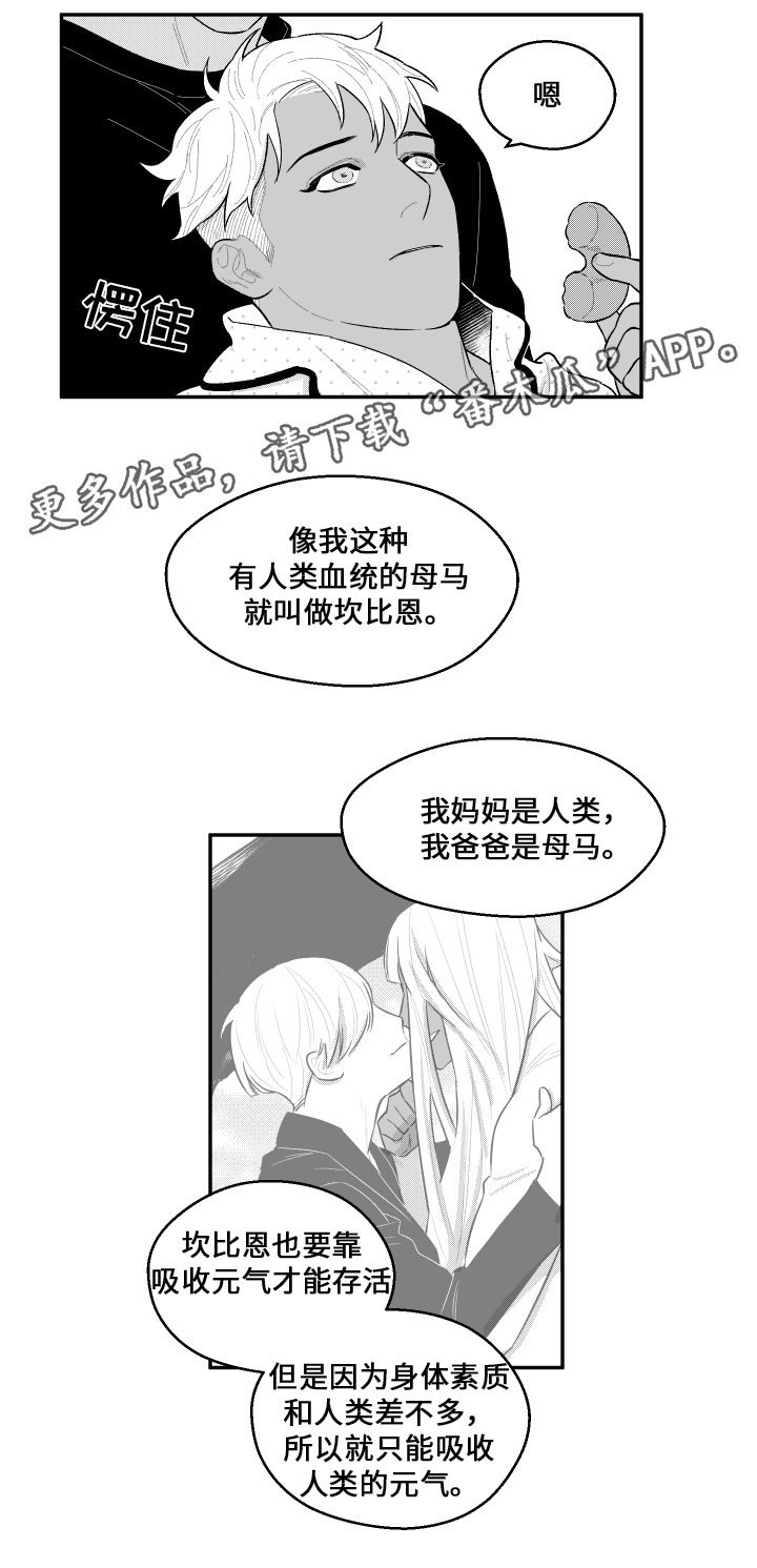 第37章：元气