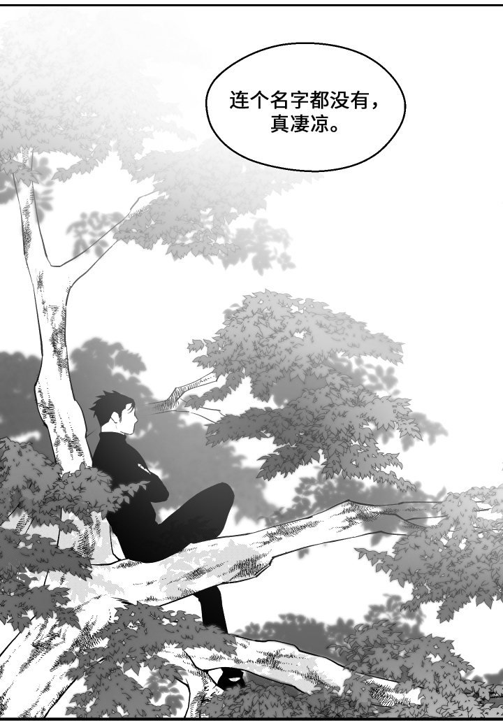 第37章：元气