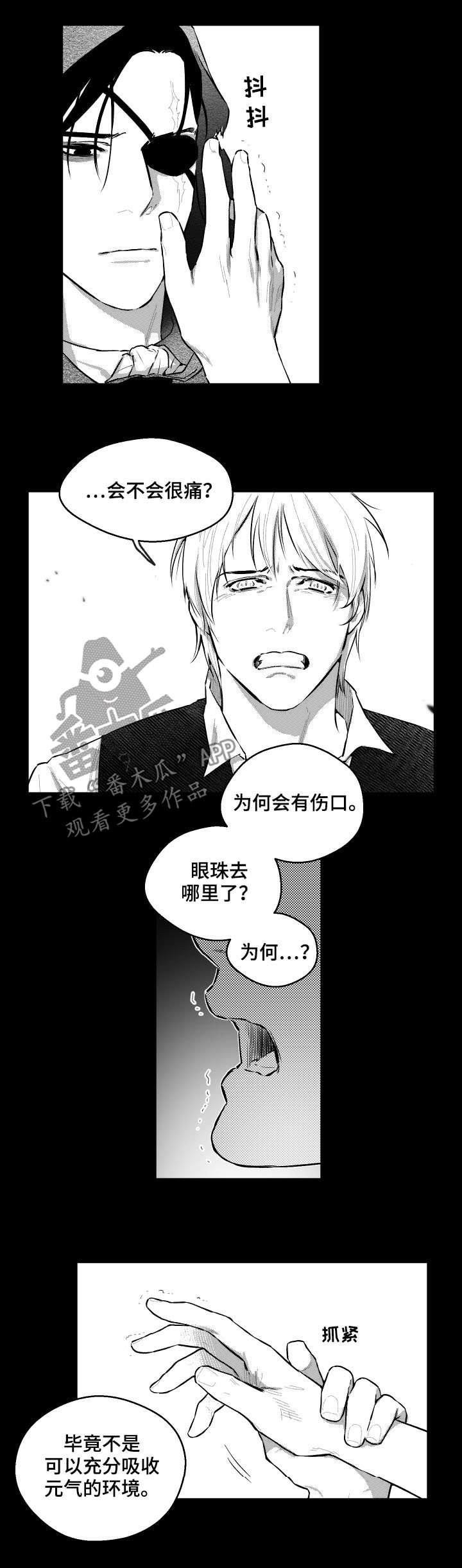 第67章：名字