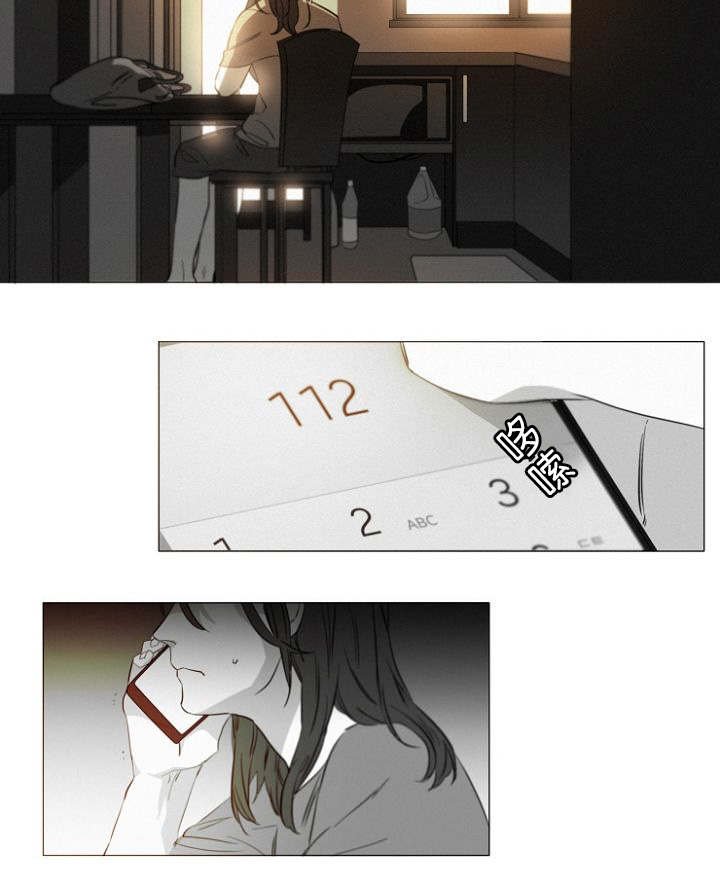 第11章：目击案发现场
