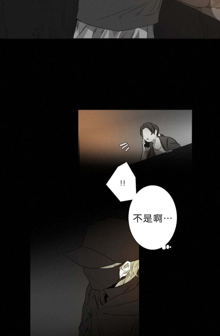 第11章：目击案发现场