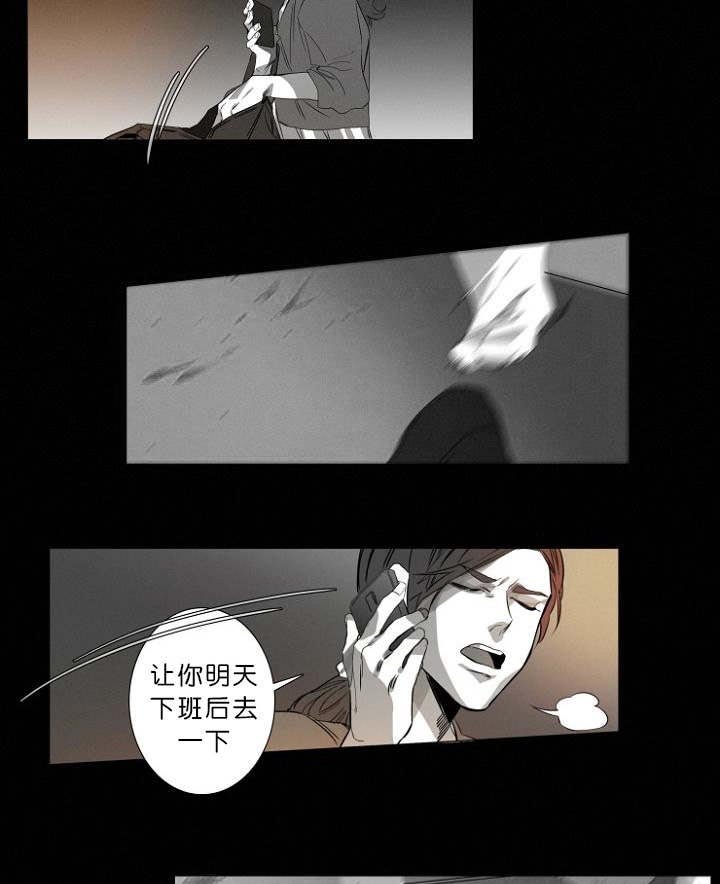 第11章：目击案发现场